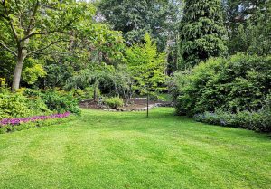 Optimiser l'expérience du jardin à Voinemont